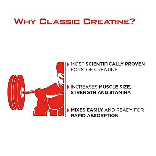 Old School Classic CREATINE - World’s First Probiotic Infused Creatine Monohydrate for Muscle Size, Strength, Immune Boost, Brain Health, & Gut Optimization, Unflavored, 300g Powder & Scoop